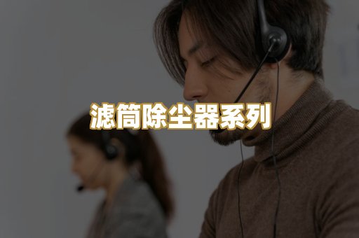 滤筒除尘器系列